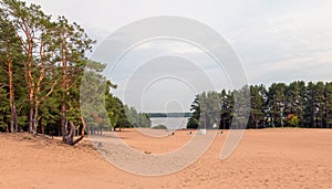 Beach in the dunes