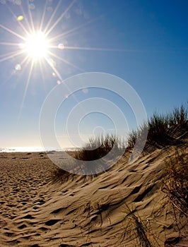 Beach dunes