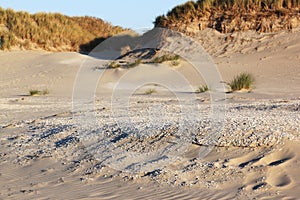 Beach and dunes at Ameland Island, Holland photo
