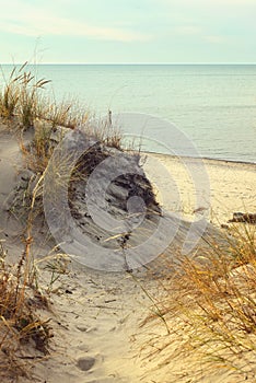 Beach with dunes in the autumn time