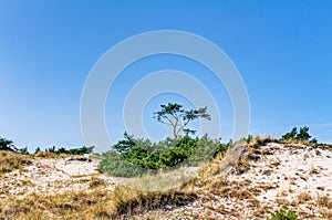 Beach and dunes with beachgrass