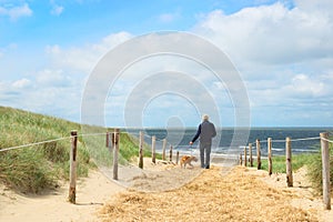 Beach and dunes on Dutch Texel photo