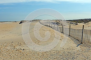 Beach Dunes Encroaching on the Sand Fence