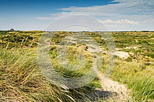 Beach dunes with long grass in the Zuid-Kennemerland nature park near Zandvoort on the coast of the Netherlands. The Netherlands photo