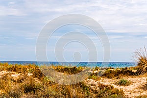 Beach dunes in the sun, beach scene with copy space, sand dunes