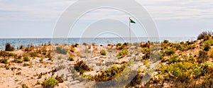 Beach dunes in the sun, beach scene with copy space, sand dunes