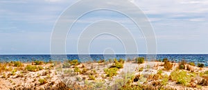 Beach dunes in the sun, beach scene with copy space, sand dunes