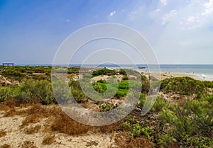 Beach with dunes and vegetation and the sea in the background with fishing pens