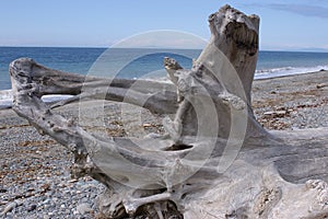 Beach at Dungeness Wild Life Refugee photo