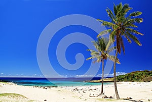 Beach in Easter island