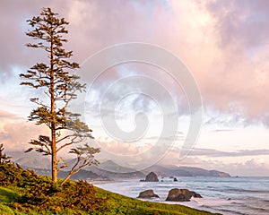 Ecola Beach State Park on the Oregon Coast