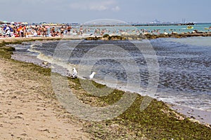 Beach of Eforie South