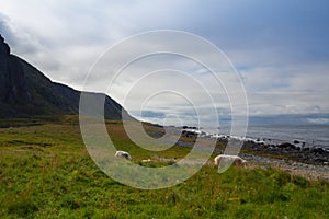 On the beach in Eggum, Norway