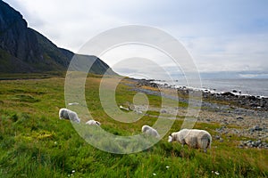 On the beach in Eggum, Norway