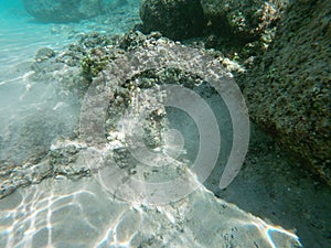 The `Ensenada Grande` beach in Baja California Sur