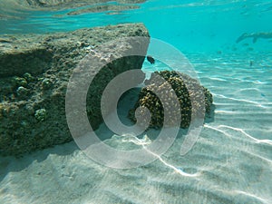 The `Ensenada Grande` beach in Baja California Sur