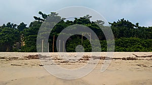 Beach entrance with trees and bamboos