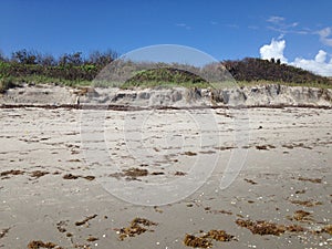 Beach Erosion