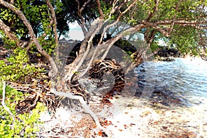 Beach erosion