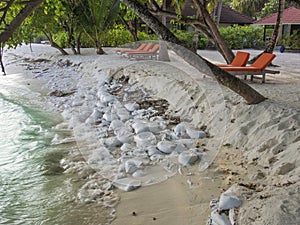 Beach erosion photo