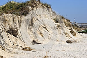 Beach Erosion after hurricane Florida, USA.