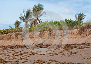 Beach Erosion Series