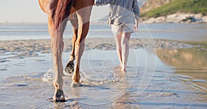 Beach, feet and woman with a horse walking to water in nature for travel, adventure and trip. Island, resort and legs of