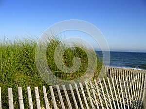 Beach Fence
