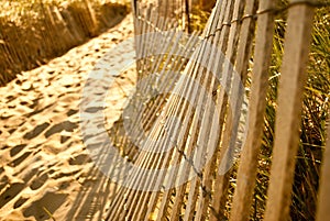 Beach Fence