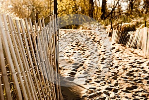 Beach Fence