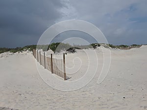 Beach Fence, Assateague Island