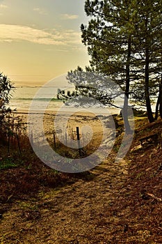 Beach fence. Beach sunrise. Beach Sand Dunes Access Path. Path in the sand that goes to the ocean