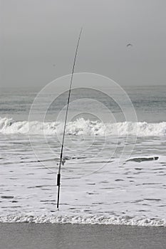 Beach Fishing