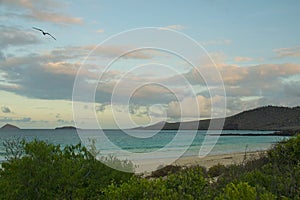 Beach on Floreana Island, Galapagos Islands photo