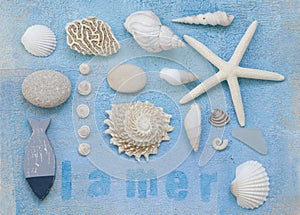 Beach flotsam collage