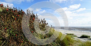 Beach on Foehr Island