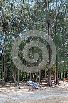 Beach folding chairs over sand with trees in the background at Koh Mak Island in Trat, Thailand