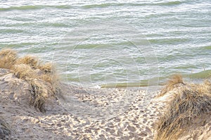 Beach footpath between sand dunes