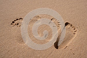 Beach footprints in at den haag The Hague