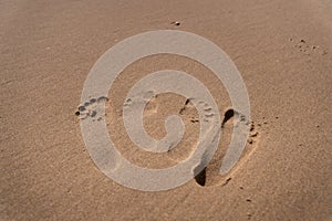 Beach footprints in at den haag The Hague