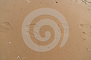 Beach footprints in at den haag The Hague