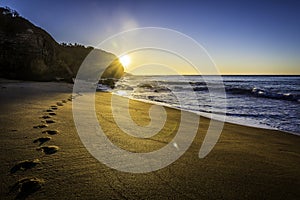 Beach footprints towards the sun