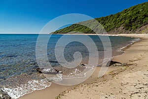Beach and forest in Bulgarian Black Sea coast
