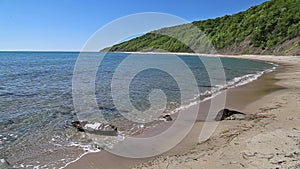 Beach and forest in Bulgarian Black Sea coast