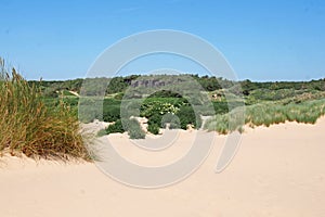 The beach at formby merseyside with dunes covered in marram grass and vegetation with forest landscape visible in the distance