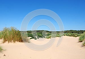 The beach at formby merseyside with dunes covered in marram grass and vegetation with forest landscape visible in the distance