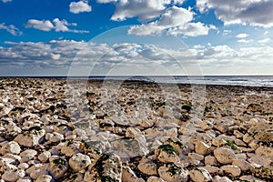 Beach full of rocks - relax, peaceful