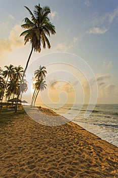 Beach in Ghana in the morning