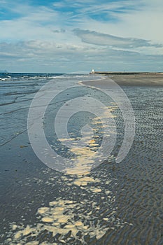 Beach at Girvan Ayrshire Scotland