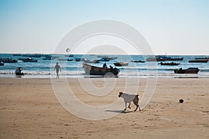 Beach in Goa